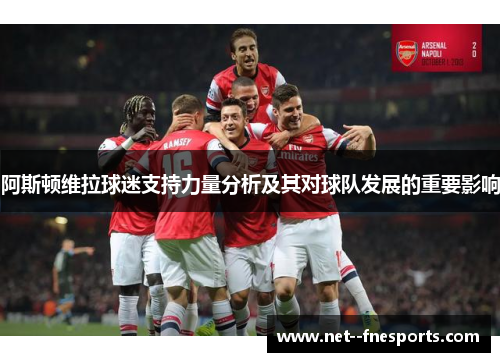 阿斯顿维拉球迷支持力量分析及其对球队发展的重要影响