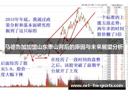 马德鲁加加盟山东泰山背后的原因与未来展望分析