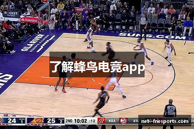 了解蜂鸟电竞app